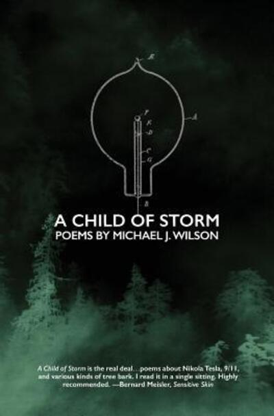 Cover for MR Michael J Wilson · A Child of Storm: Poems by Michael J. Wilson (Paperback Bog) (2016)