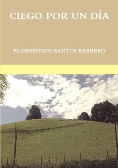 Cover for Florentino Santos Barbero · Ciego Por Un Dia (Taschenbuch) (2015)