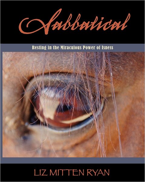 Sabbatical: Resting in the Miraculous Power of Isness - Liz Mitten Ryan - Books - Booksurge Publishing - 9781439211939 - November 27, 2008