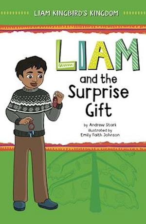 Cover for Andrew Stark · Liam and the Surprise Gift (Book) (2024)