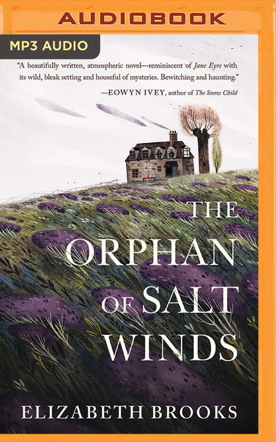 Orphan of Salt Winds the - Elizabeth Brooks - Audiobook - BRILLIANCE AUDIO - 9781721332939 - 15 stycznia 2019