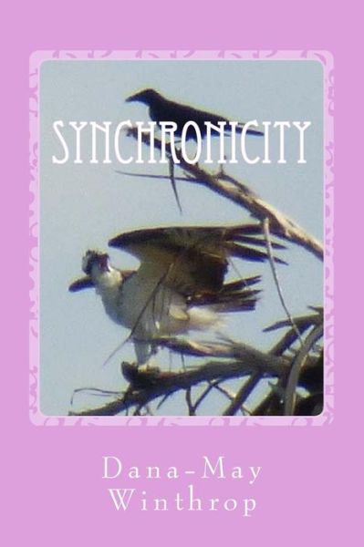 Dana-may Winthrop · Synchronicity (Paperback Book) (2018)