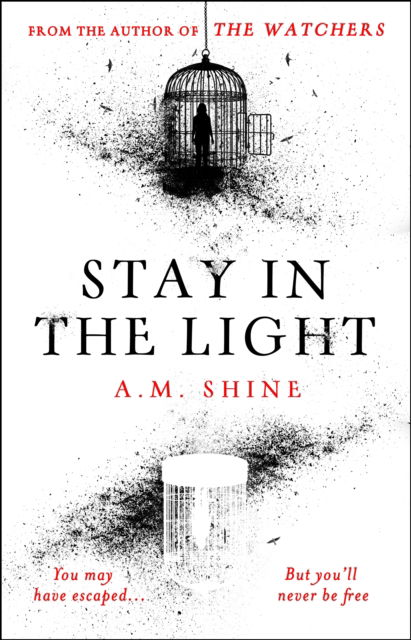 Cover for A.M. Shine · Stay in the Light: the chilling sequel to THE WATCHERS, now adapted into a major motion picture (Hardcover Book) (2024)