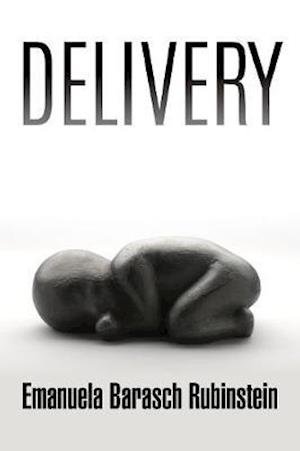 Cover for Emanuela Barasch Rubinstein · Delivery (Paperback Book) (2021)