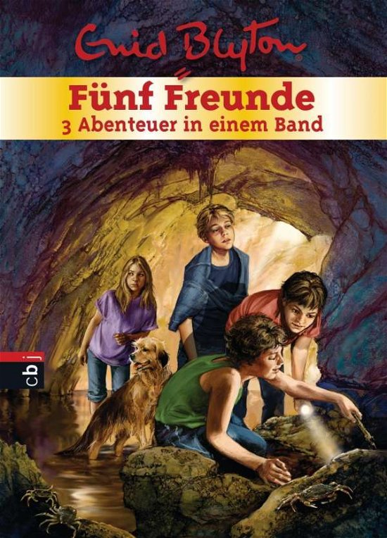 Cover for Blyton · Fünf Freunde,3 Abenteuer in eine (Book)