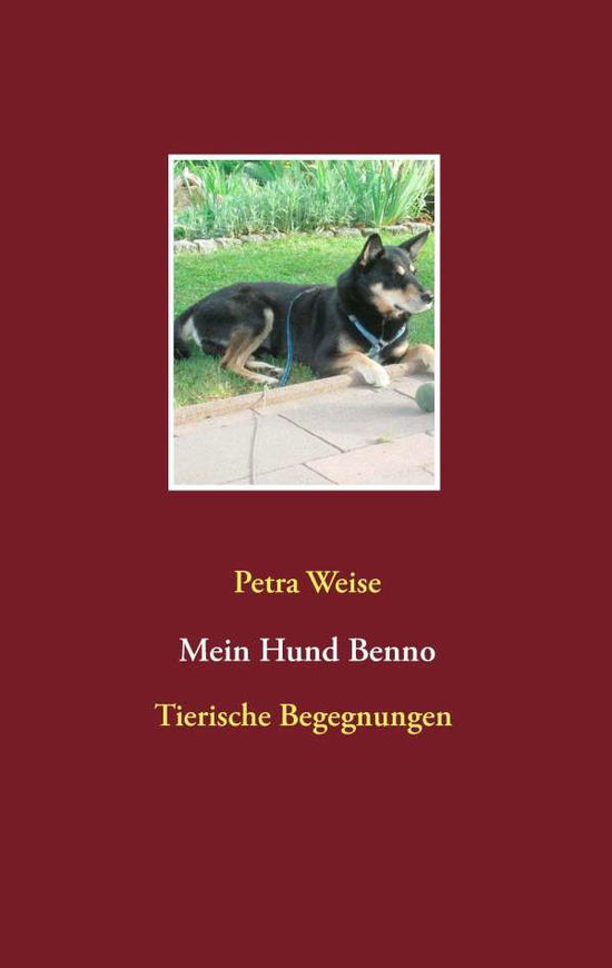 Cover for Weise · Mein Hund Benno (Book) [German edition] (2015)