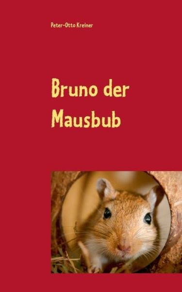 Cover for Kreiner · Bruno der Mausbub (Book) (2017)