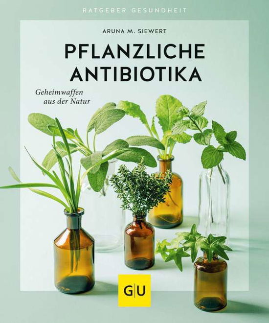 Cover for Siewert · Pflanzliche Antibiotika (Book)