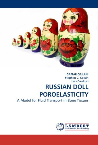 Cover for Gaffar Gailani · Russian Doll Poroelasticity: a Model for Fluid Transport in Bone Tissues (Taschenbuch) (2009)