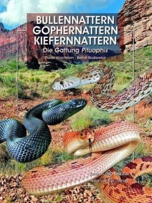 Bullennattern und Kiefernnattern - Bernd Skubowius - Books - NTV Natur und Tier-Verlag - 9783866590939 - December 1, 2011