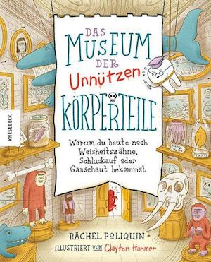 Cover for Rachel Poliquin · Das Museum Der UnnÃ¼tzen KÃ¶rperteile (Book)