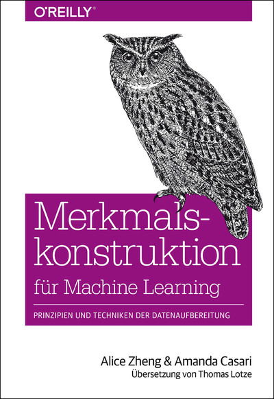 Cover for Zheng · Merkmalskonstruktion für Machine (Buch)