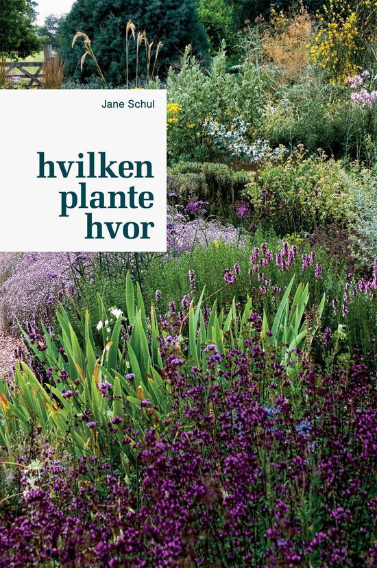 Cover for Jane Schul · Hvilken plante hvor (Bound Book) [3.º edición] (2015)