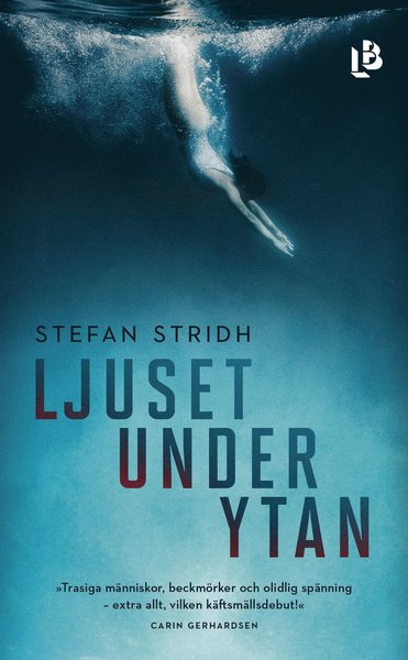 Cover for Stefan Stridh · Ljuset under ytan (Paperback Book) (2020)