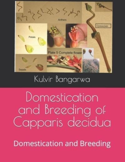 Cover for Kulvir Bangarwa · Domestication and Breeding of Capparis decidua: Domestication and Breeding (Paperback Book) (2021)