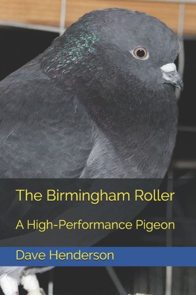 Cover for Dave Henderson · The Birmingham Roller: a High-Performance Pigeon (Paperback Book) (2021)