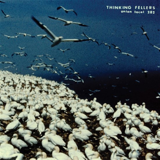 Cover for Thinking Fellers Union Local 282 · These Things Remain Unassigned (LP) (2023)