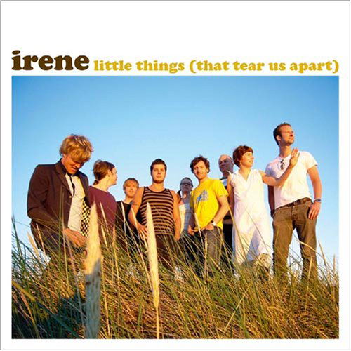 Cover for Irene · Little Things That Tear Us Apart (CD) (2008)