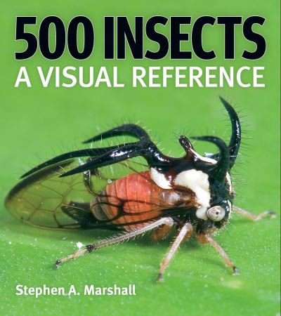 500 Insects: A Visual Reference - Stephen A Marshall - Boeken - Firefly Books Ltd - 9780228104940 - 29 april 2024