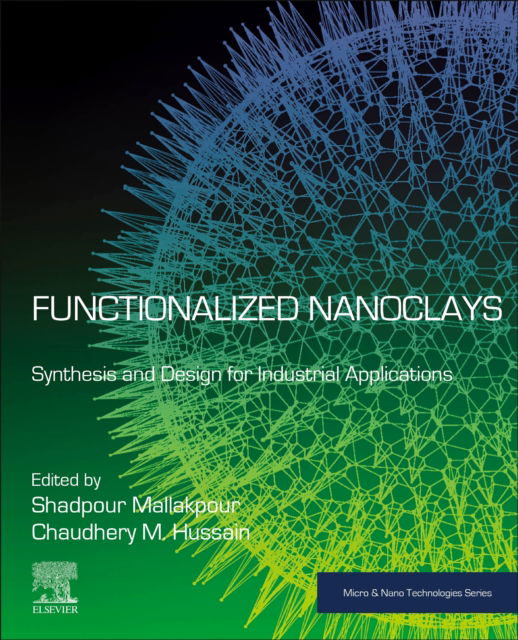 Functionalized Nanoclays: Synthesis and Design for Industrial Applications - Micro & Nano Technologies (Taschenbuch) (2024)