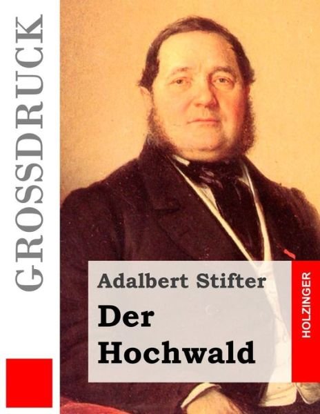 Cover for Adalbert Stifter · Der Hochwald (Grossdruck) (Paperback Book) (2015)