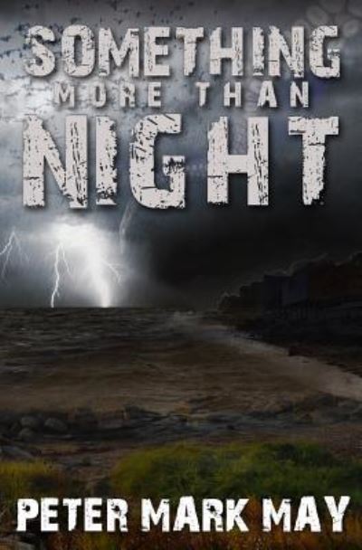 Cover for Peter Mark May · Something More Than Night (Paperback Book) (2016)