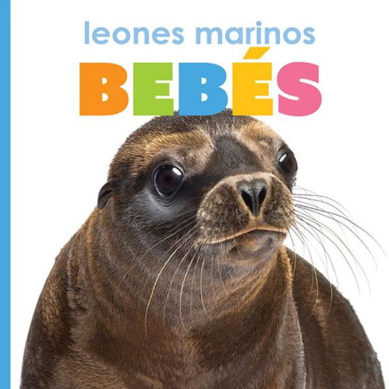 Cover for Kate Riggs · Leones Marinos Bebés (Buch) (2021)