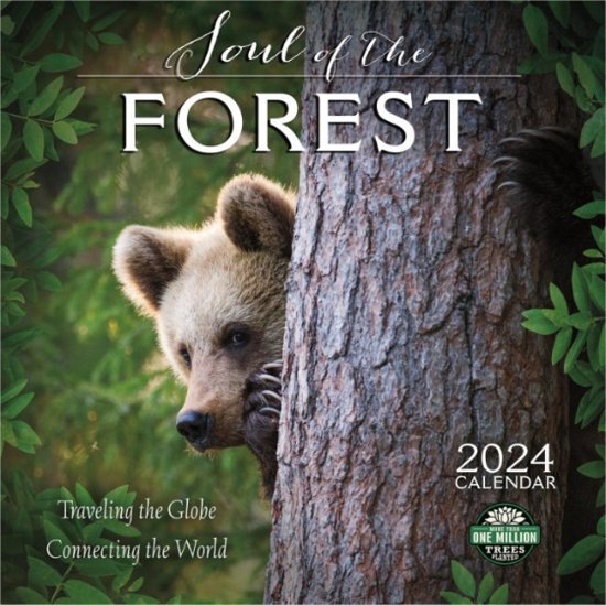 Amber Lotus · Soul of the Forest 2024 Calendar Traveling the Globe
