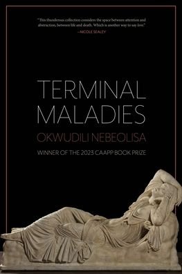 Cover for Okwudili Nebeolisa · Terminal Maladies (Pocketbok) (2024)