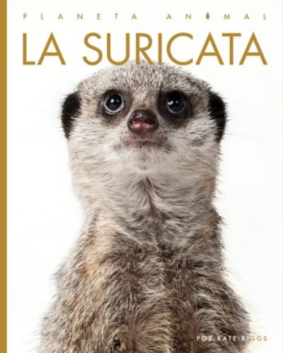 Cover for Kate Riggs · Suricata (Book) (2023)
