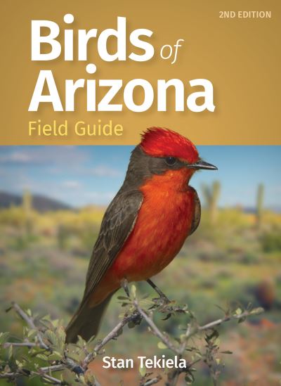 Cover for Stan Tekiela · Birds of Arizona Field Guide - Bird Identification Guides (Pocketbok) [2 Revised edition] (2021)