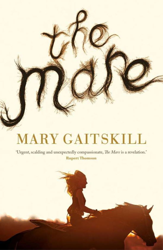 Cover for Mary Gaitskill · The Mare (Paperback Bog) [Main edition] (2017)