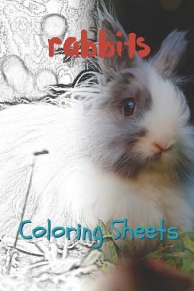 Rabbit Coloring Sheets - Julian Smith - Kirjat - Amazon Digital Services LLC - Kdp Print  - 9781797658940 - keskiviikko 20. helmikuuta 2019