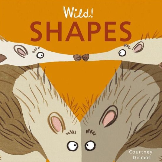 Cover for Courtney Dicmas · Shapes - Wild! Concepts (Board book) (2017)