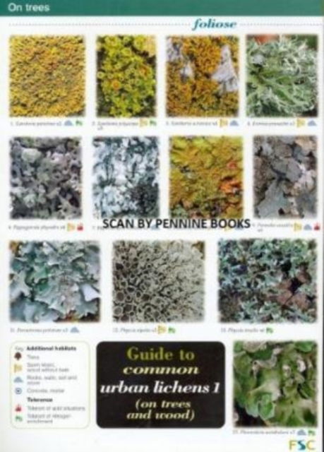 Cover for Frank Dobson · Guide to Common Urban Lichens (On Trees and Wood) (Map) (2006)