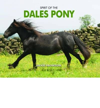 Spirit of the Dales Pony - Jackie Snowdon - Books - PiXZ Books - 9781906887940 - April 23, 2010