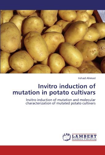 Cover for Irshad Ahmad · Invitro Induction of Mutation in Potato Cultivars: Invitro Induction of Mutation and Molecular Characterization of Mutated Potato Cultivars (Paperback Bog) (2012)