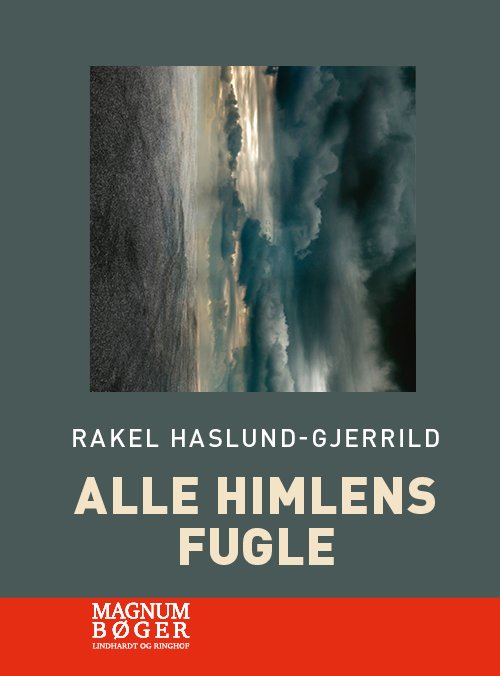 Cover for Rakel Haslund-Gjerrild · Alle himlens fugle (Storskrift) (Innbunden bok) [2. utgave] (2020)