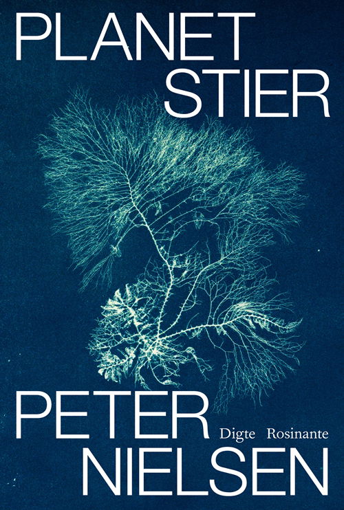 Cover for Peter Nielsen · Planetstier (Heftet bok) [1. utgave] (2019)