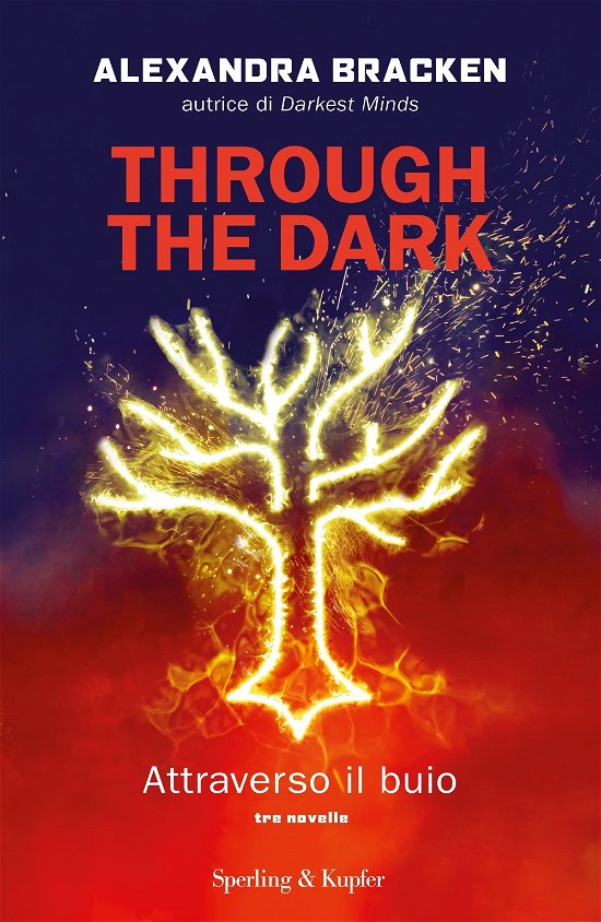 Cover for Alexandra Bracken · Through The Dark. Attraverso Il Buio (Buch)