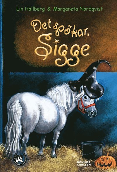 Cover for Lin Hallberg · BUS - Brobyungarnas shettisar: Det spökar, Sigge (ePUB) (2014)