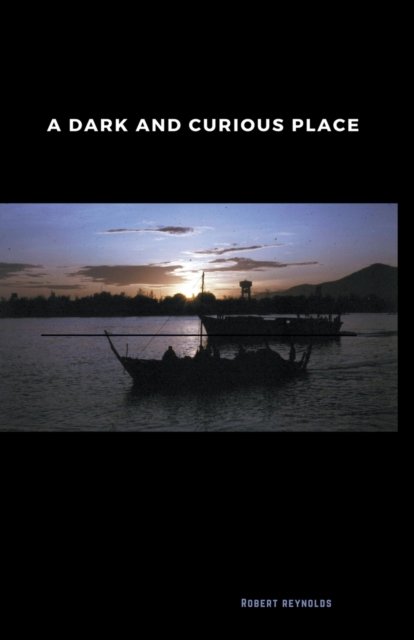 Cover for Robert Reynolds · A Dark and Curious Place (Paperback Book) (2020)