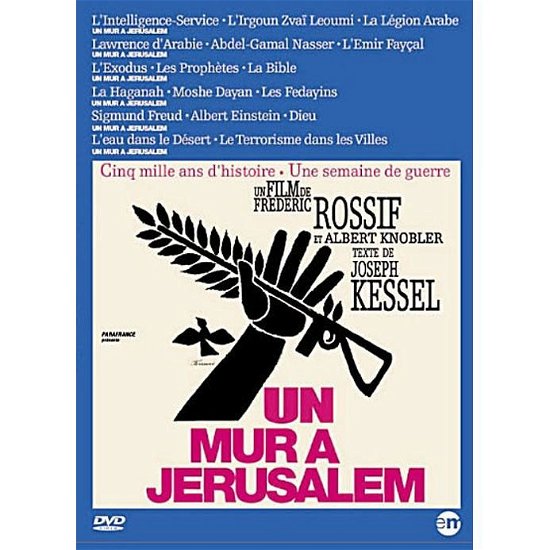 Cover for Un Mur A Jerusalem / slim (DVD)