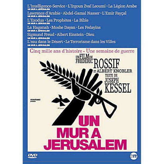 Un Mur A Jerusalem / slim - Movie - Elokuva - EDITIONS MONTPARNASSE - 3346030018941 - 