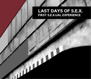 First S.E.X.U.A.L. Experience - Last Days Of S.E.X. - Music - HANDS - 4013438098941 - July 1, 2008