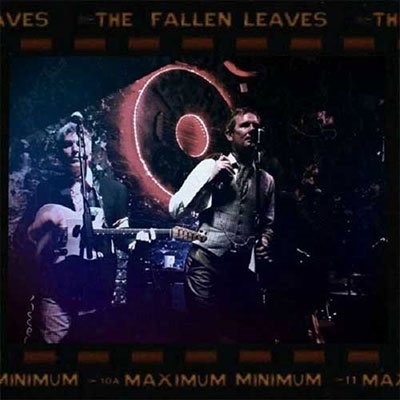 Cover for Fallen Leaves · Maximum Minimum (LP) (2022)
