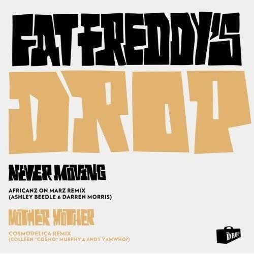 Cover for Fat Freddy's Drop · Mother Mother / Never Moving R emixes (LP) [180 gram edition] (2014)