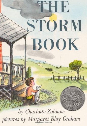 Cover for Charlotte Zolotow · The Storm Book: A Caldecott Honor Award Winner (Paperback Book) [English Language edition] (1989)