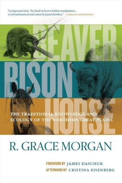 Cover for R. Grace Morgan · Beaver, Bison, Horse: The Traditional Knowledge and Ecology of the Northern Great Plains (Hardcover Book) (2020)