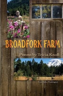 Cover for Tricia Knoll · Broadfork Farm (Paperback Book) (2017)